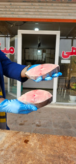 ماهی شیر