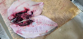 ماهی حلوا سیاه