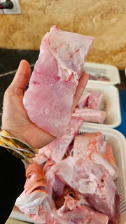 ماهی سرخو صادراتی