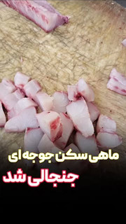 ماهی سکن درشت